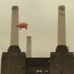 В британском небе снова надувная свинья Pink Floyd