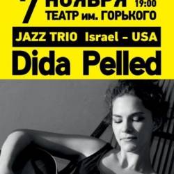 Dida Pelled Trio