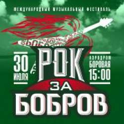 Отчет о фестивале "Рок за Бобров 2016"