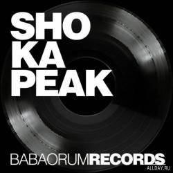 Shokapeak - Alboom 2010 МУЗЫКА